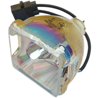 DREAM VISION DreamBee Lampa utan modul