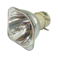 OSRAM P-VIP 225/0.8 E20.9 PH Lampa utan modul