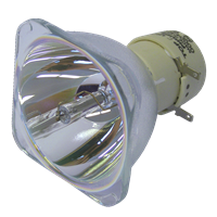 PHILIPS-UHP 190/160W 0.9 E20.9 Lampa utan modul