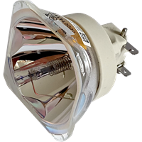 PHILIPS-UHP 370/294W 1.0 E19.7 Lampa utan modul