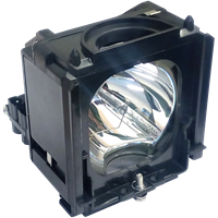SAMSUNG HL-S6165W Lampa med modul