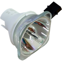 SHARP PG-LS3000 Lampa utan modul