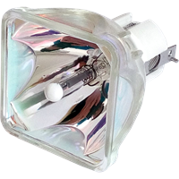 TOSHIBA TLP-T61 Lampa utan modul