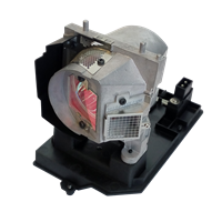 TRIUMPH BOARD PJ250-W Lampa med modul