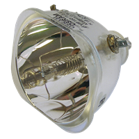 VIEWSONIC RLC-009 Lampa utan modul